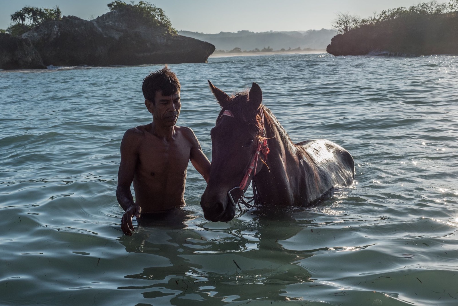 A handler swimming a Sumbanese horse in the sea between two headlands on the Lamboya coast at Alamayah, Sumba