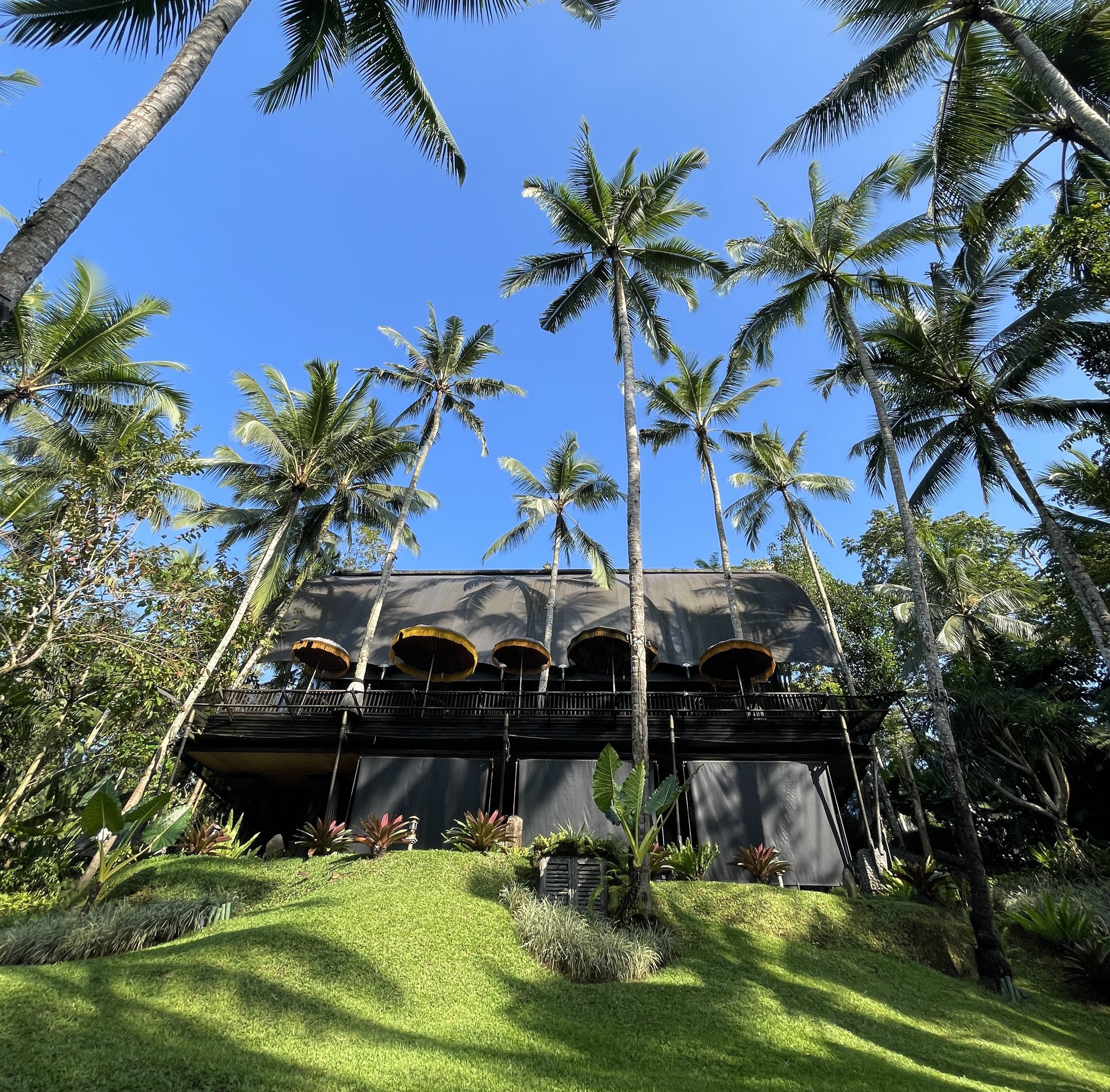Luxury resort setting with pool and jungle views at Capella Ubud Bali