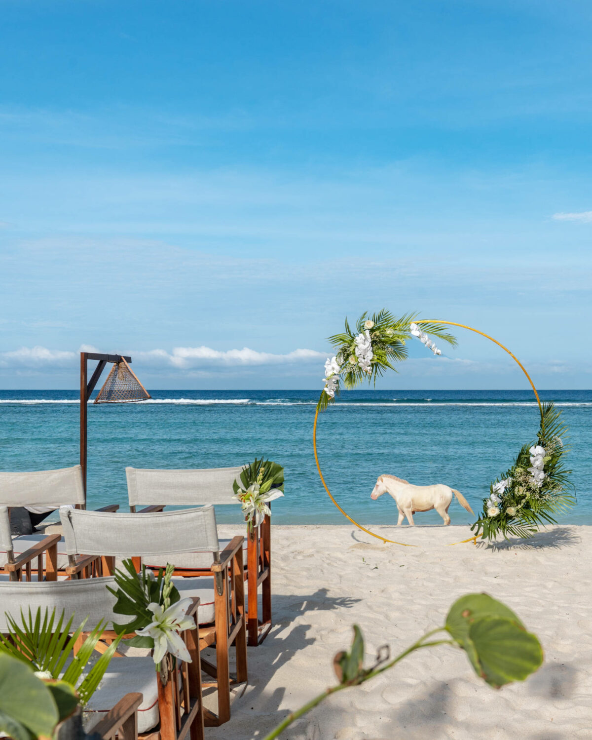 Circular floral ceremony arch and timber chairs on the beach with a pony crossing the sand at Cocana Resort, Gili Trawangan
