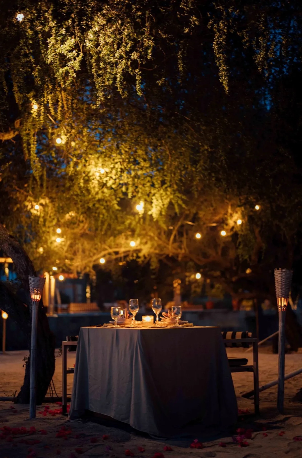 Table for two on the sand lit by bamboo torches and lights strung through a tree at Hotel Lumi Gili Trawangan