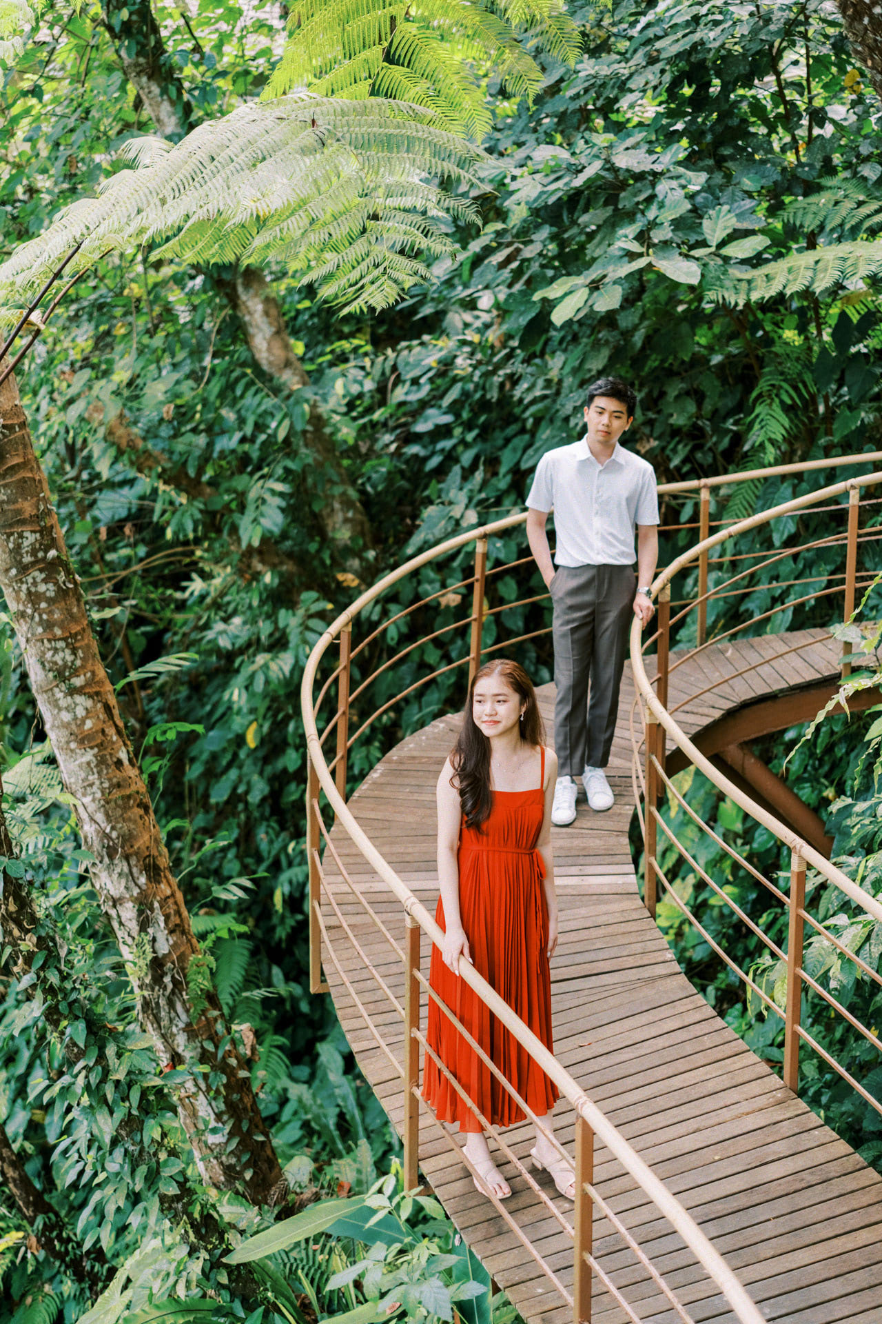 Evening light in the gardens at Komaneka at Bisma over the river gorge, Ubud
