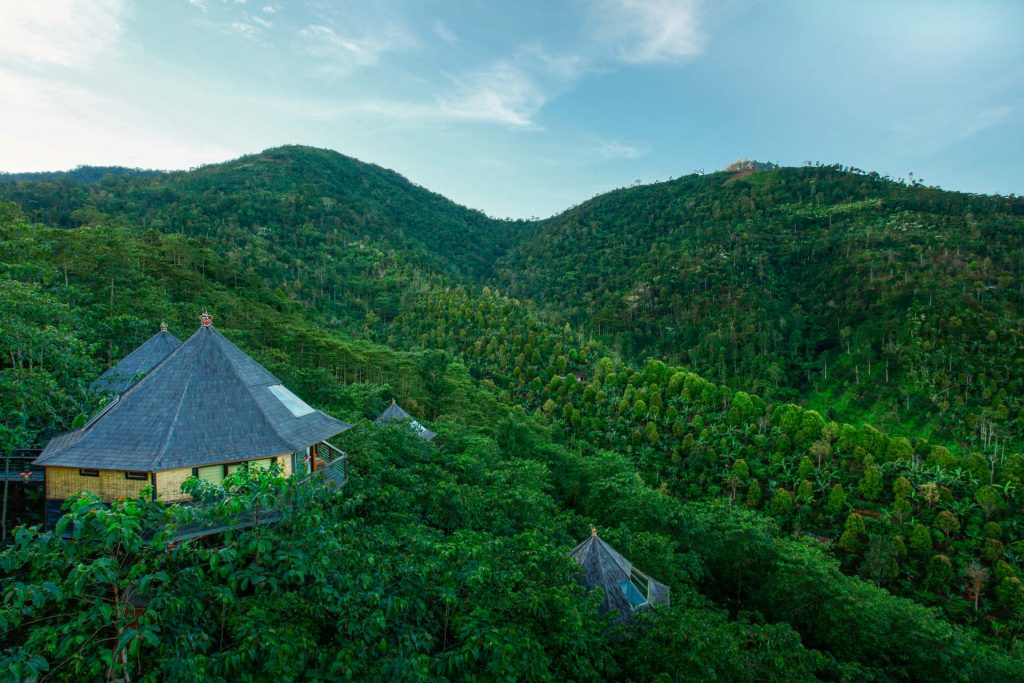Shingled villa roofs half hidden in the forested hills around Munduk Heaven Luxury Villas, Buleleng, Bali