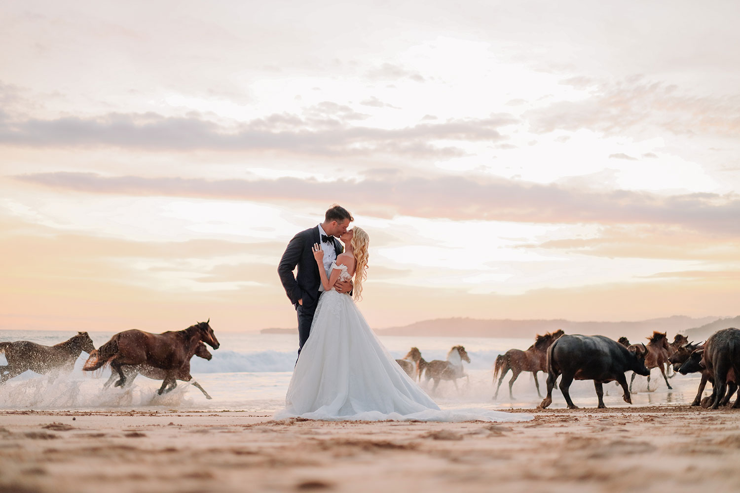 A couple kissing on the sand as horses and buffalo run through the shallows at sunset at NIHI Sumba on Sumba, one flight from Bali