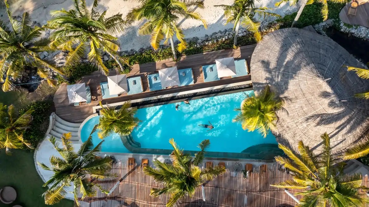 Aerial view of the pool, daybeds and coconut palms at Silo Beach Club, Nusa Penida, Bali