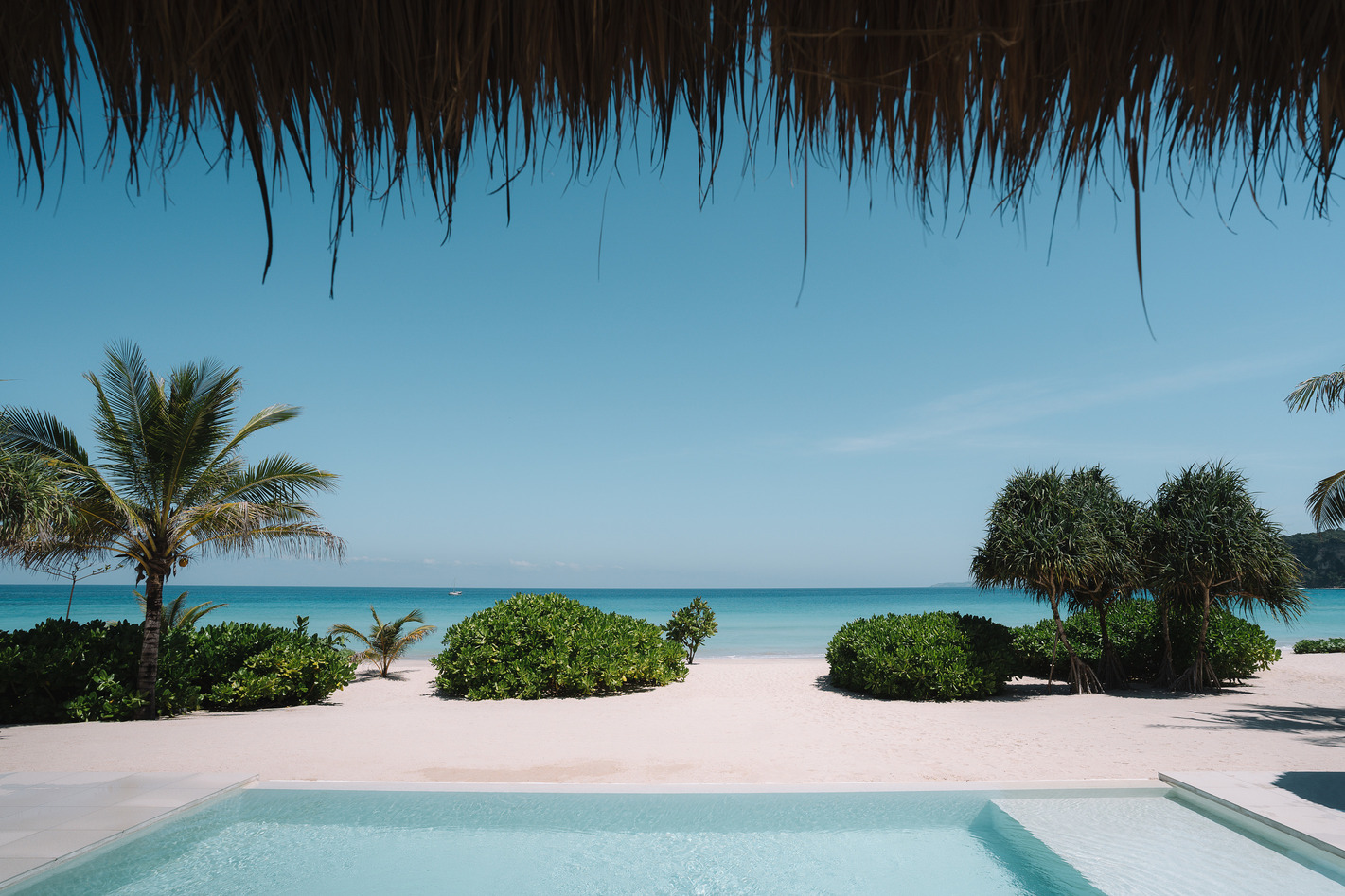 Villa pool looking out over palms to the empty white beach at The Sanubari on Sumba, one flight from Bali