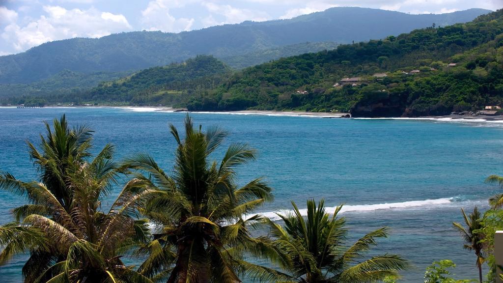 The East Bali coastline and hills seen from Villa Asada, framed by palm trees