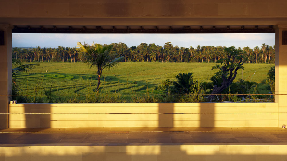 Rice fields and palms framed by a window at Villa Babar in Tabanan