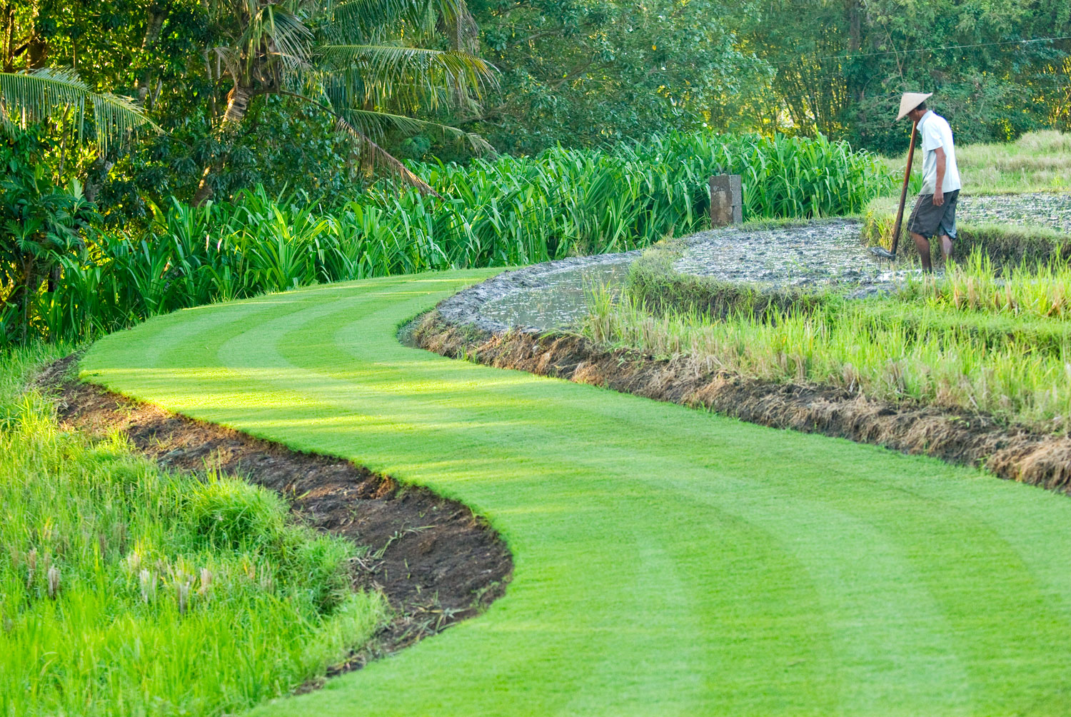 Terraced lawn and rice-field grounds at Villa Puri Bawana in Canggu, Bali