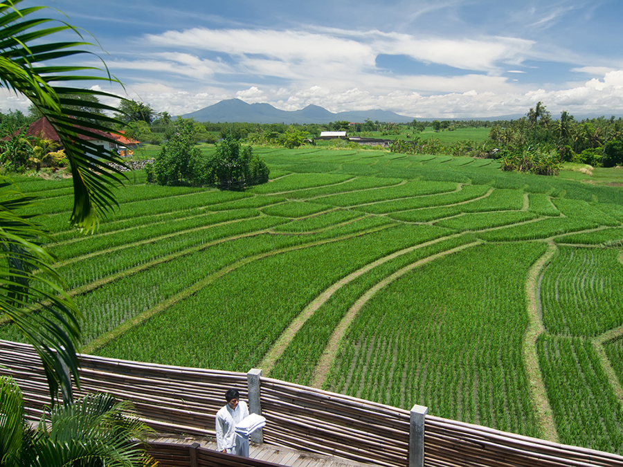 Villa Shalimar grounds with tropical garden and pool between the three villas
