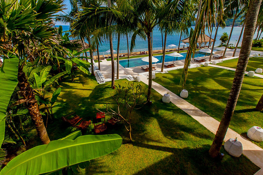 Villa Stella's lawn and pool deck framed by palm trees, with the sea beyond