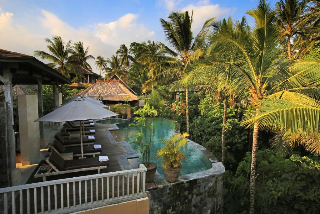 Pool at Wapa di Ume Ubud with rice fields beyond